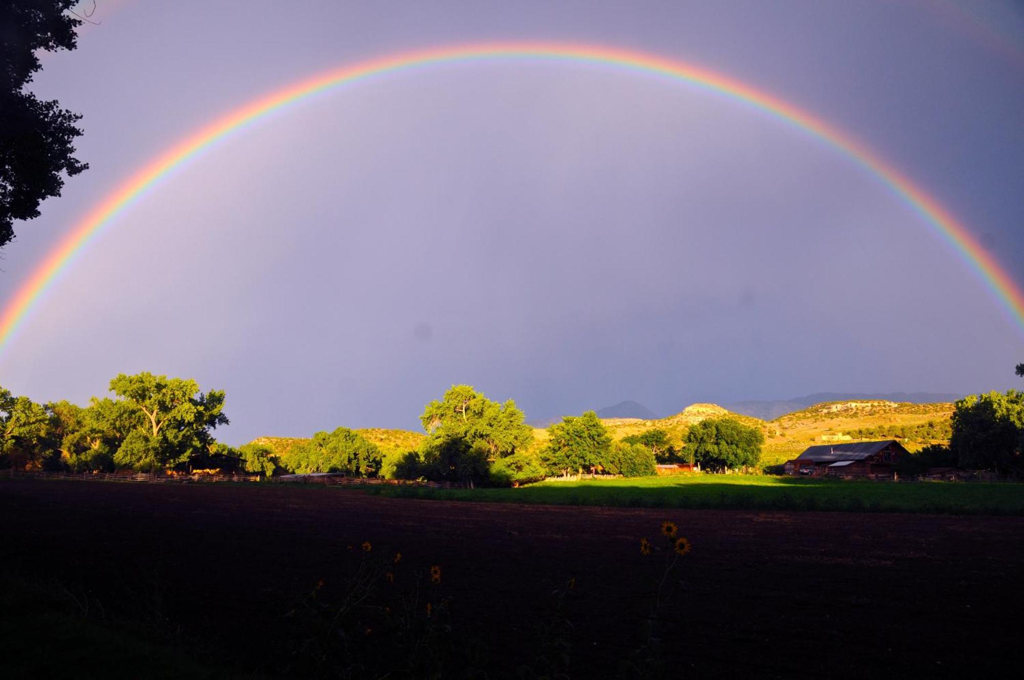 Canyon Of The Ancients Guest Ranch Cortez Εξωτερικό φωτογραφία