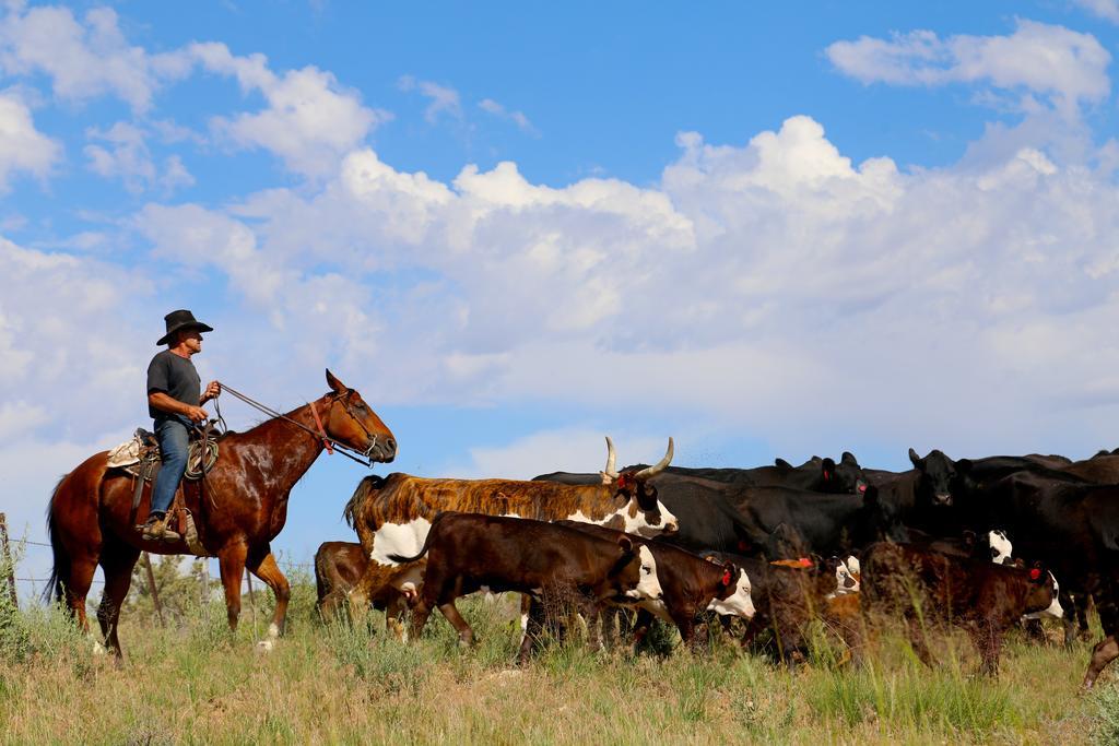 Canyon Of The Ancients Guest Ranch Cortez Εξωτερικό φωτογραφία