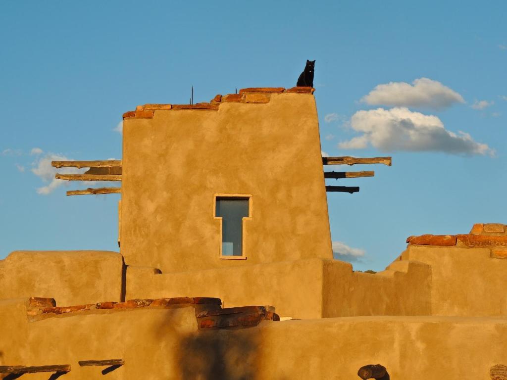 Canyon Of The Ancients Guest Ranch Cortez Εξωτερικό φωτογραφία