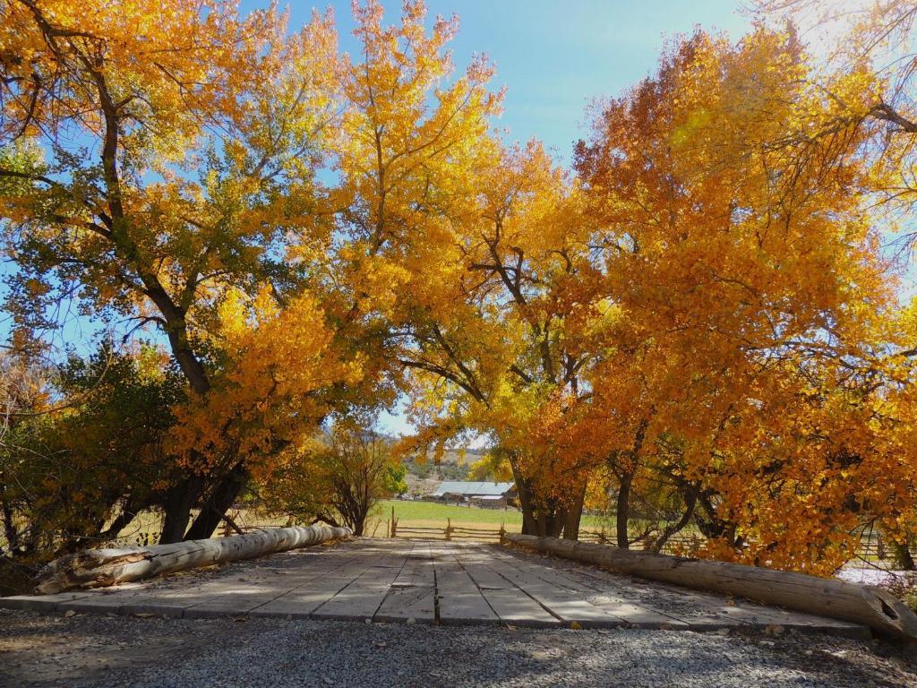 Canyon Of The Ancients Guest Ranch Cortez Εξωτερικό φωτογραφία