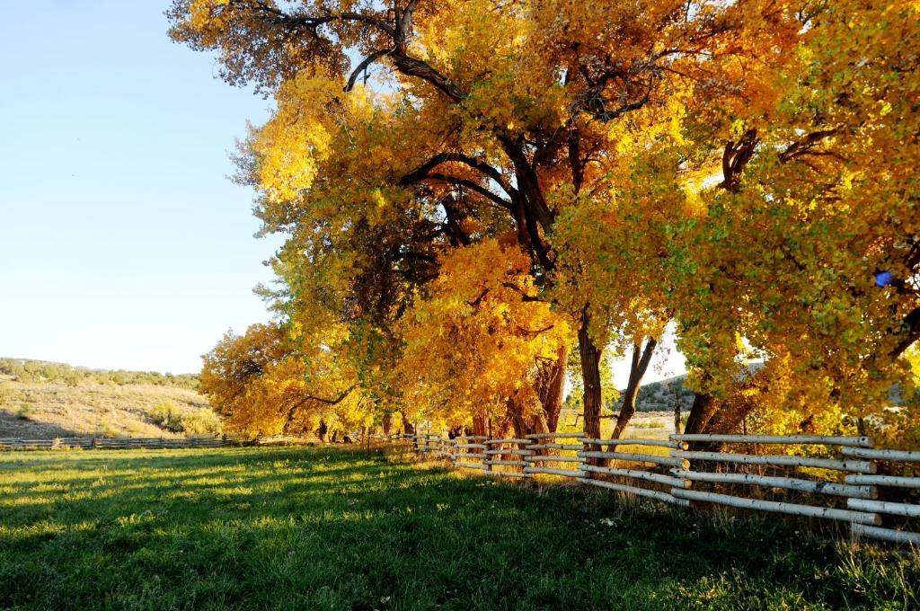 Canyon Of The Ancients Guest Ranch Cortez Εξωτερικό φωτογραφία