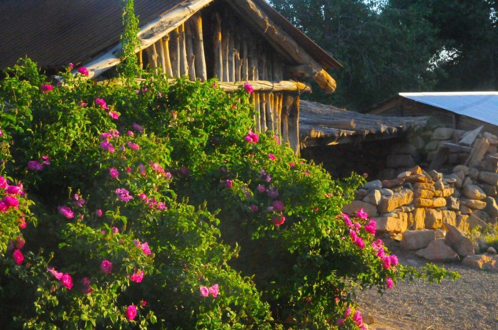 Canyon Of The Ancients Guest Ranch Cortez Εξωτερικό φωτογραφία