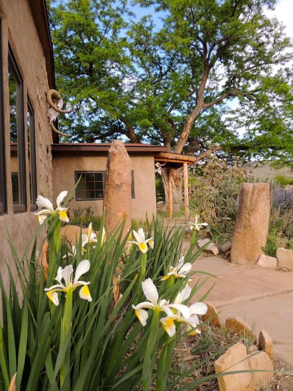 Canyon Of The Ancients Guest Ranch Cortez Εξωτερικό φωτογραφία