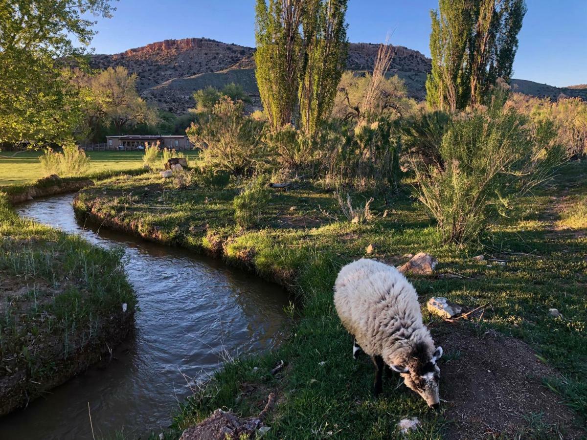Canyon Of The Ancients Guest Ranch Cortez Εξωτερικό φωτογραφία